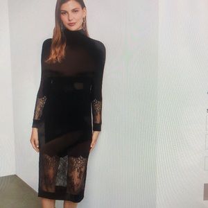 BCBG Maxazaria Lace Dress